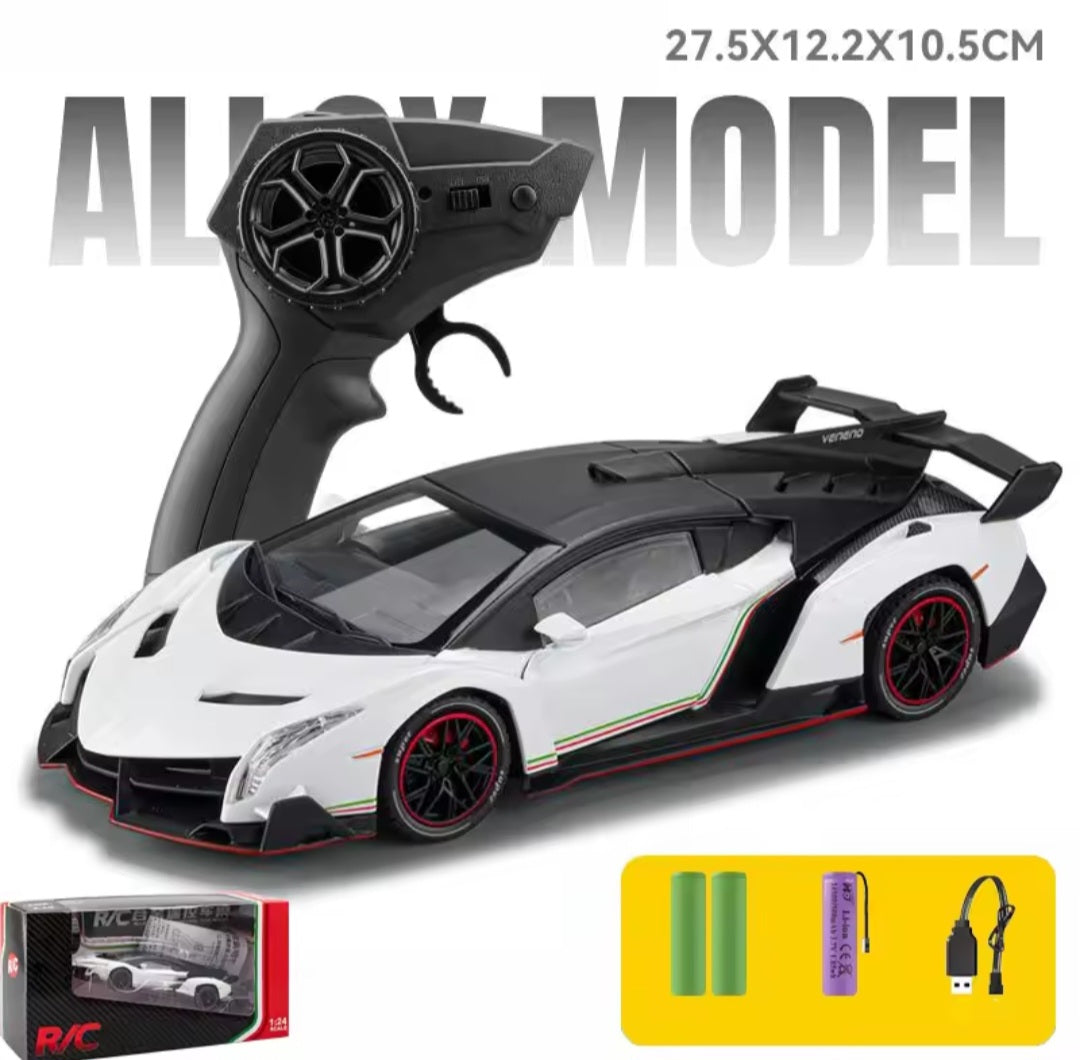 1:24 RC Diecast alloy model with remote control all door Openable light song multiple model