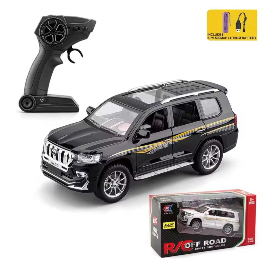 1:24 RC Diecast alloy model with remote control all door Openable light song multiple model